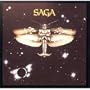 Saga