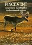 Pincevent: Campement magdal�nien de chasseurs de rennes