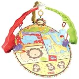from Fisher-Price Fisher-Price Luv U Zoo Musical Activity Gym (Model V4435)