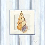 Sanibel Shell II Art Poster Print by Avery Tillmon, 12×12