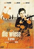 Die Wiese - Michele Placido