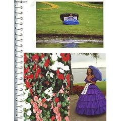 1 album photos : cypress gardens, sea world, wacki wachee, golfe du mexique