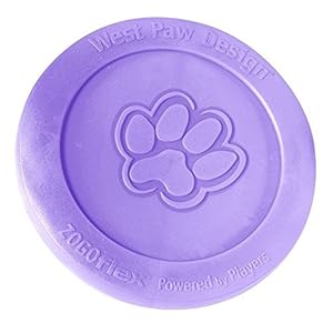 West Paw Design Zisc Flying Disc, Large, Lily