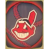 Cleveland Indians Light Weight Fleece MLB Blanket (Flashball Series) (50