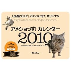 �A���V������!�J�����_�[2010 (�m�J�����_-�n)