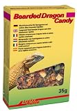 Lucky Reptile Bearded Dragon Candy