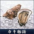 愛媛県南宇和島産「豪華活海の幸ギフト カキ物語(カキ・扇貝・真珠貝)」プレゼントギフト贈り物お歳暮暑