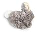 Kitchen & Housewares : Premier Wild Rabbit Medium