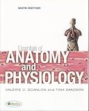 Essentials of Anatomy and Physiology Reviews