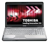Toshiba Satellite L500D-16L 15.6-inch Notebook (AMD Athlon II M300 2.0 GHz Processor, 4 GB RAM, 500 GB HDD, DVD SuperMulti Drive, 6 Cell Battery, Windows 7 Home Premium)