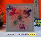 ノーブランド品 ガラスブロックガラス 日本基準サイズ 厚み95mm 片面特殊模様仕上