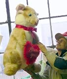 hamster shop