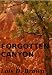 Forgotten Canyon (A Treasure Hunters Short Story)