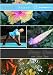 Happy Yoga with Sarah Starr | Vol. 3