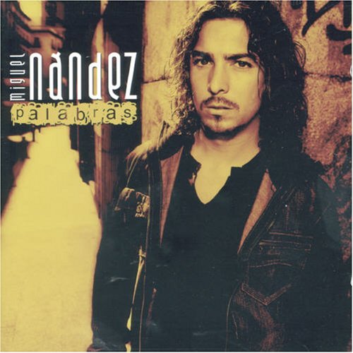 Miguel Nandez - No olvidarte Lyrics - Zortam Music