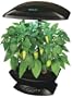 AeroGarden 2411-00B Extra Garden 7-Pod With Mega Cherry Tomato Seed Kit - Black
