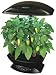 AeroGarden 2411-00B Extra Garden 7-Pod With Mega Cherry Tomato Seed Kit - Black