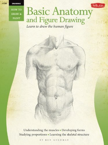 Beginner's Guide: Basic Anatomy and Figure Drawing (Walter Foster How to Draw and Paint Series): Basic Anatomy and Figure Drawing - Everything Artists Need to Know to Draw the Human Figure by Goldman, Ken (2006) Paperback