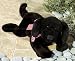 Buzzle dog - Medium