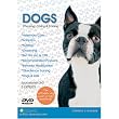 DOGS - Choosing, Caring & Training