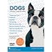 DOGS - Choosing, Caring & Training