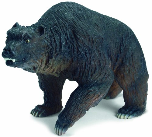 Schleich シュライヒ ドウクツグマ