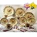 80PC ROOSTER DINNERWARE SET, ROOSTER SET