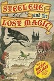Steeleye and the lost magic : competition book