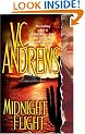 Midnight Flight (Broken Wings)