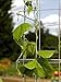 Bean Tower, Heavy Gauge Bean Trellis
