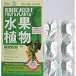 Reduce Weight Fruta Planta for 30 Days