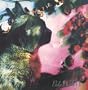 The Comforts Of Madness