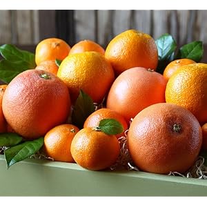 Citrus Medley