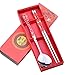 Sealike Metal Stainless Steel Chopsticks and Spoon Set Chinese Red Pattern with Stylus