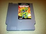 Teenage Mutant Ninja Turtles II: The Arcade Game
