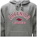 University of Arkansas Campus Yard Printed Fleece Hoodie