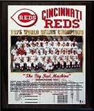 1975 Cincinnati Reds World Series Champions 11 x 13 Plaque from Healy Pro