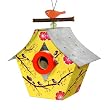 Rosso's International Musical Retro Chic Birdhouse