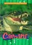Caimans (Animals of the Rain Forest)