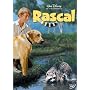 Rascal