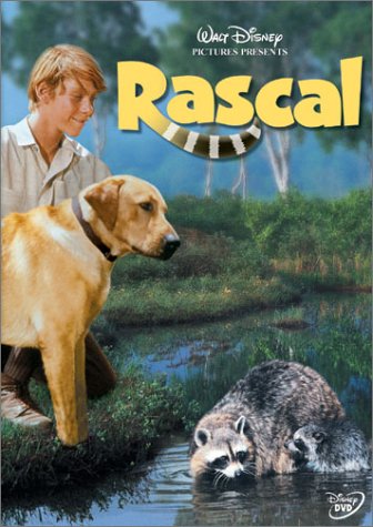 Rascal by Pamela Anderson