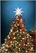 12-Inch Moravian Star Tree Topper