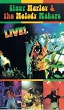 Ziggy Marley And The Melody Makers - Live