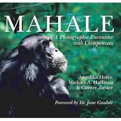 Mahale: A Photographic Encounter with Chimpanzees