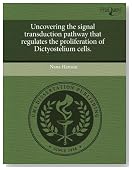Uncovering the signal transduction pathway that regulates the proliferation of Dictyostelium cells.