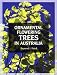 Ornamental Flowering Trees in Australia