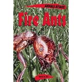 Animals ATTACK! - Fire Ants