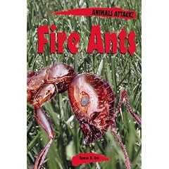 Fire Ants