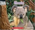 Koala (Welcome Books)