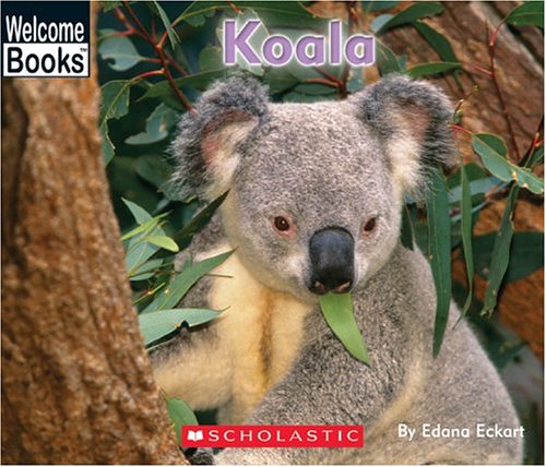 Koala (Welcome Books: Animals of the World) [Paperback]